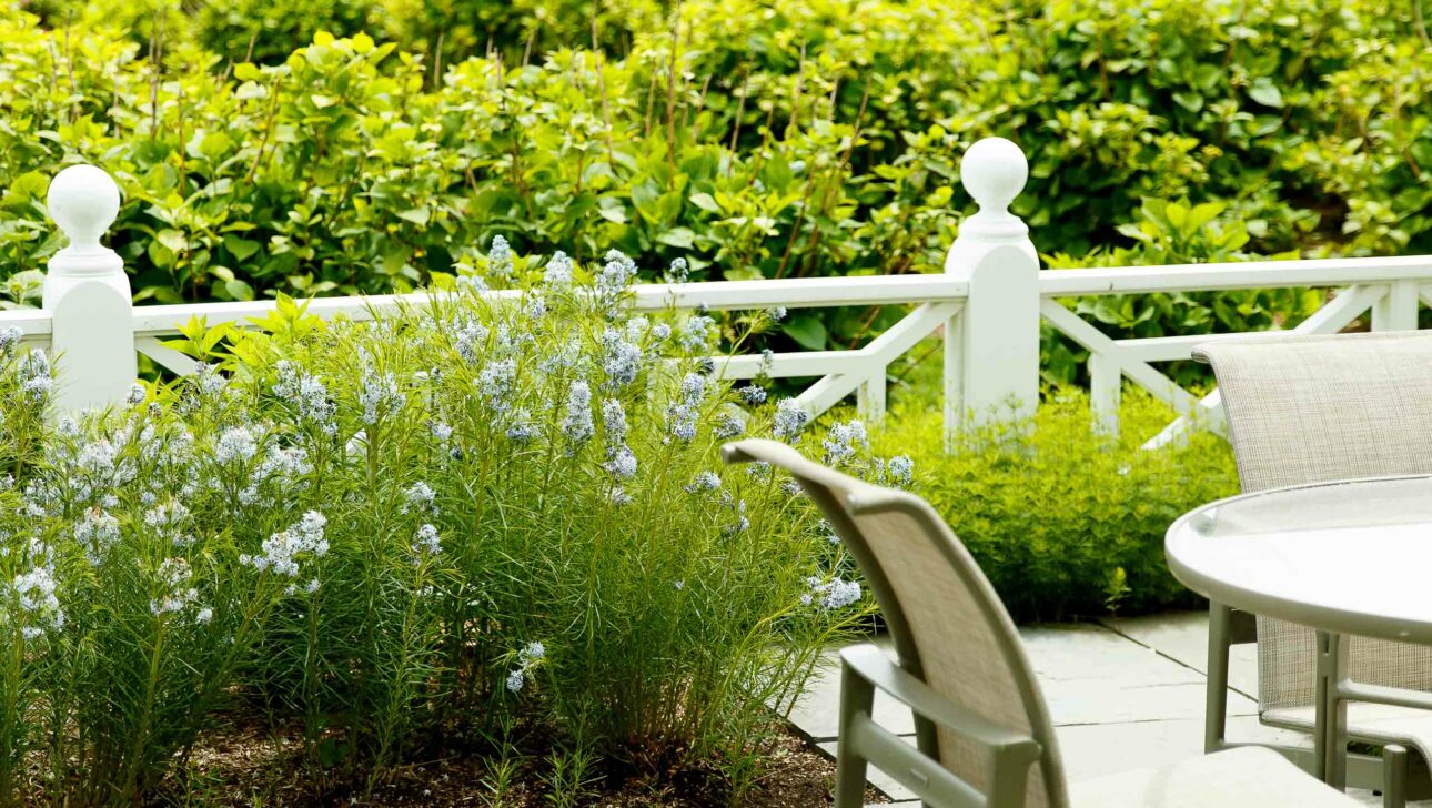 A patio outside the Hydrangea Suite surrounded by bushes and flowers..